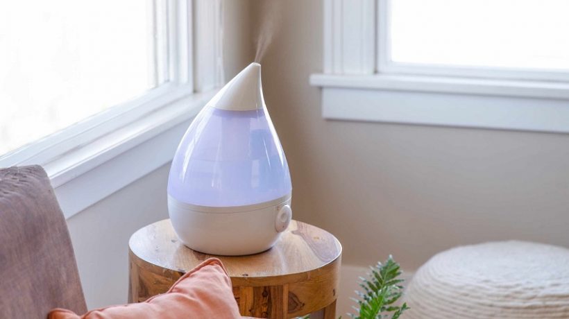 When should you use a humidifier (summer or winter)?