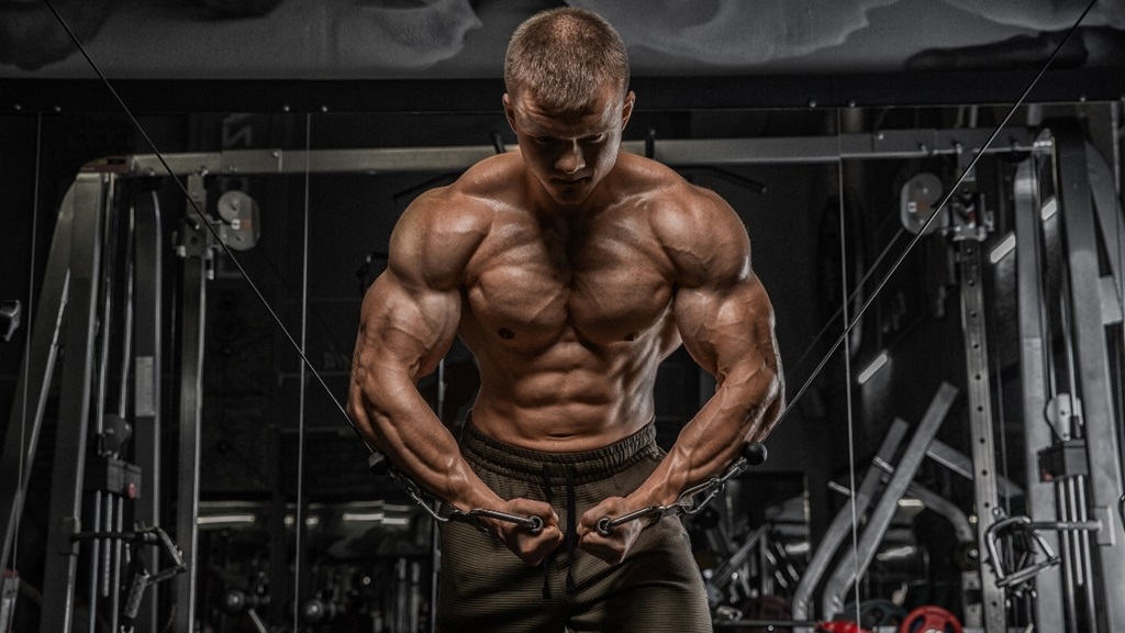 How Long Should You Bulk For?