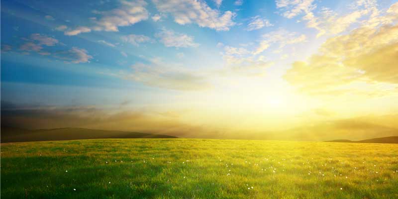 What is the importance of positive attitude?