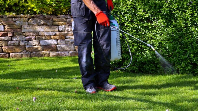 How to Control Fleas in the Yard: Your Comprehensive Guide