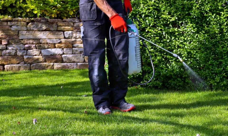 How do you control fleas naturally outside