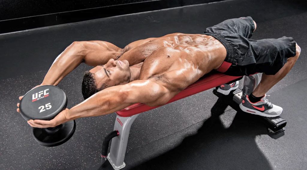 What muscle do dumbbell pullovers work