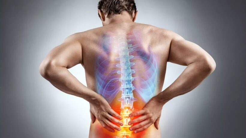 Back Pain 101: Understanding the Basics and Causes